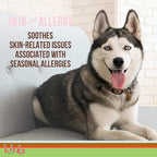 Licks Pill-Free Dog Skin & Allergy - Omega 3 Dog Allergy Relief - Vitamins & Supplements for Itch Relief - Turmeric Supplement for Skin - Gel Packets - 10 Use