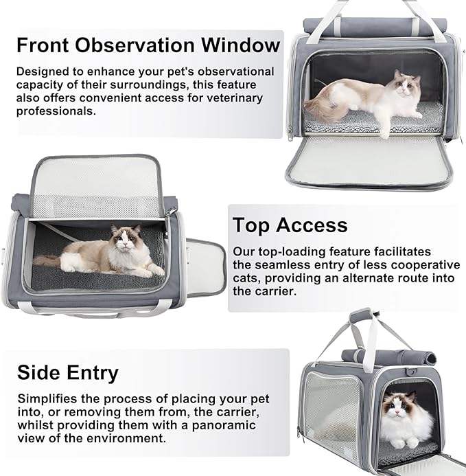 Texsens Pet Carrier - Soft Sided Cat Carrier for Small/Medium/Large Cats & Puppies Up to 16 lbs - Collapsible Cat Bag for Outdoor Travel - TSA Airline Approved with Privacy Protection (Grey)