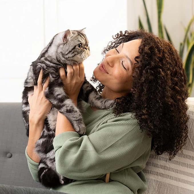 Open Farm, Canned Cat Food Topper, Silky Mousse Made with 95% Responsibly Sourced Icelandic Fish, Grain & Legume Free, Salmon Recipe, 3.17oz Cans (Pack of 17)