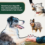 100% Natural Himalayan Yak Cheese for Dogs - Mega (Pack of 5) - Sourced from Pristine Himalayan Foothill, Rawhide-Free, NO preservatives