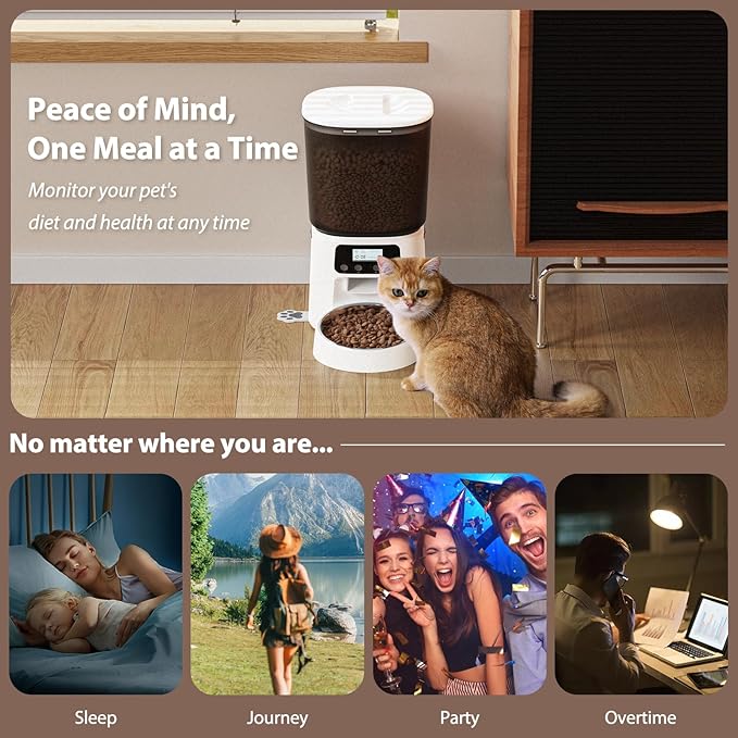 Automatic Cat Feeder,4L Timed Cat Dry Food Dispenser,Pet Feeder up to 6 Meals and 30 Portions per Day,10S Voice Record,Flexible Schedule Timer,Dual Power,Stainless Steel Bowl, for Cats and Small Dogs