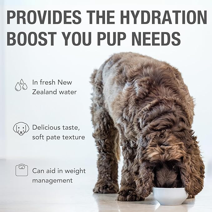 K9 Natural Wet Dog Food Pate, Lamb Feast, 13 Oz Cans (Pack of 12), Grain Free, Made in New Zealand with Grass-Fed, Free-Range Lamb, Single Source, Limited Ingredient