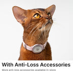 Safety Cat Collar Pro - U.S. IDA Gold Awarding Design, Elastic Quick Release Cat Collar with Buckle Non Breakaway - Lightweight for Kitten All Small Large Cats (Vivid Red, S 5.9-11.8")