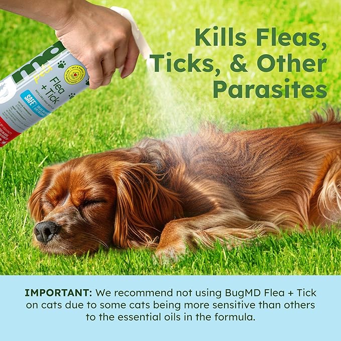 BugMD Flea and Tick Concentrate (3.7 oz, 2 Pack) – Essential Oil Formula for Dogs, Controls Fleas, Ticks & Mites, Safe for Pet Beds, Kennels & Home Use