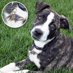 NFL Baltimore Ravens Engraving Pet IDs in 32 Team Logo Shapes, Personalized Dog & Cat Tags with 3 lines of Customizable Text for Tracking & Safety. Stainless Steel Pet ID Tracking Tags