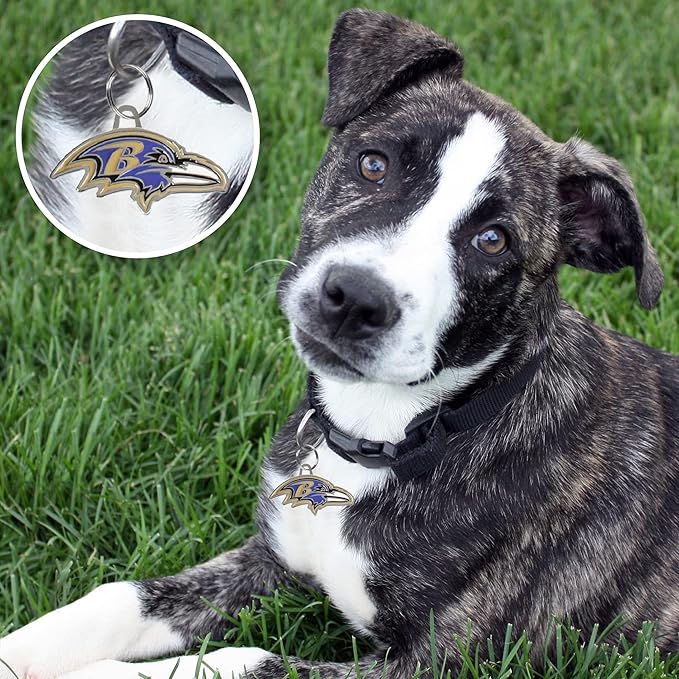 NFL Baltimore Ravens Engraving Pet IDs in 32 Team Logo Shapes, Personalized Dog & Cat Tags with 3 lines of Customizable Text for Tracking & Safety. Stainless Steel Pet ID Tracking Tags