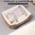 Cat Beds for Indoor Cats, Small Fluffy Pet Beds with Super Soft Fillings, Washable Dog Beds for Small Dogs and Cats, Calming Puppy Beds for Kittens, Brown/Beige, 20 inches