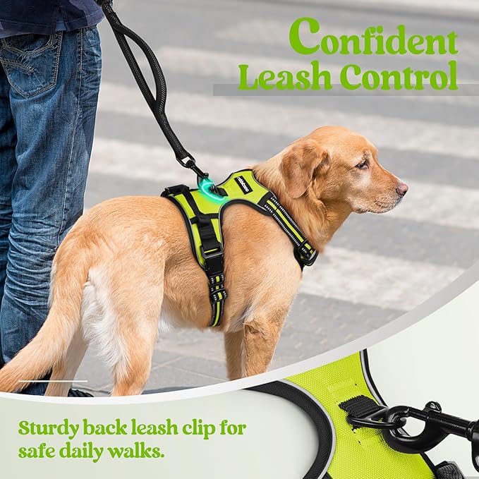 rabbitgoo Dog Harness No Pull with 2 Leash Clips, Adjustable Soft Padded, Reflective Oxford No Choke Pet Vest with Easy Control Handle for Small Dogs, Wild Lime,S