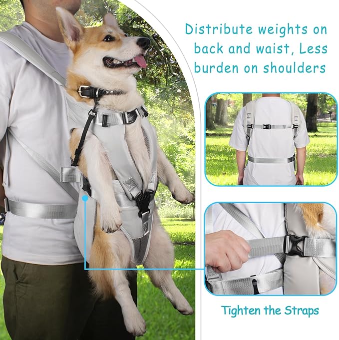 PetBonus Pet Front Dog Carrier Backpacks, Adjustable Pet Backpack, Legs Out Easy-fit Puppy Chest Carrier for Medium Small Dogs, Hands Free for Hiking, Cycling (Grey, S)