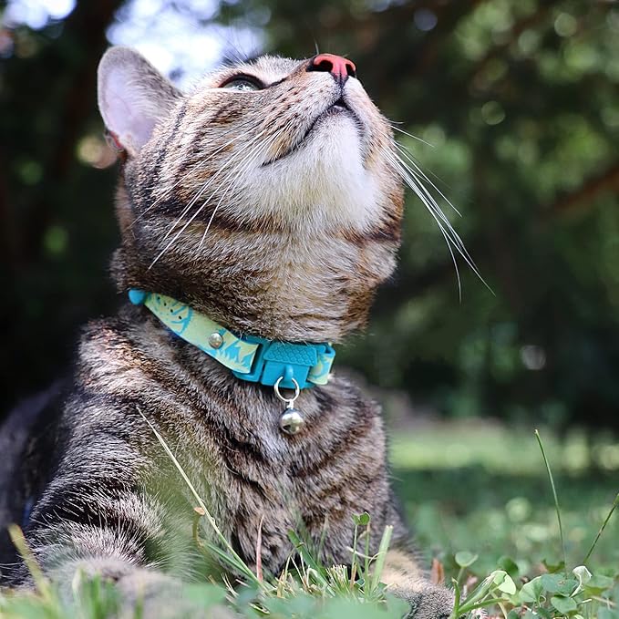 Kittyrama Botanicals Jungle Kitten Collar. Award Winning. Hypoallergenic, Quick Release Breakaway, Comfy & Soft. Vet Approved. Other Styles Available