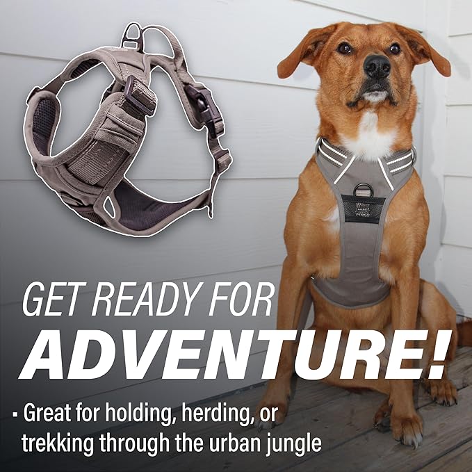 Doggie Design Venture Paw No Pull Dog Harness - Simple Adjustable Puppy Harness - Anti Pull Dog Collar for Walks and Outdoor Adventures - Dried Sage, L