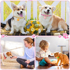 Sadnyy Blank Dog Pet Tags 25 mm for Engraving Aluminum Round Discs Smooth Metal Colorful Double Stamping Tag Pendants with Hole for DIY Craft Pet Charm Supplies(100 Pcs)