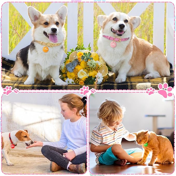 Sadnyy Blank Dog Pet Tags 25 mm for Engraving Aluminum Round Discs Smooth Metal Colorful Double Stamping Tag Pendants with Hole for DIY Craft Pet Charm Supplies(150 Pcs)