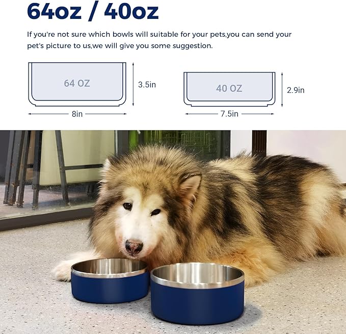 LIHONG Stainless Steel Dog Bowls for Large Dogs,Dog Food Water Bowls with Non Slip Rubber Bottom,Pet Feeding Bowl,Double Wall Insulated,Rustproof(64oz,Blue)