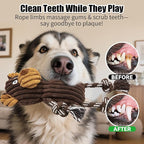 5 Pack Large Dog Squeaky Toys,Tough Stuffed Plush Dog chew Toys Assortment,Durable Plush Animal Dog Toys with Tug of War Rope to Keep Them Busy, Puppy Toys Value Bundle for Small Medium Large Dogs