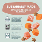 Shameless Pets Crunchy Cat Treats - Kitty Treats with Natural Salmon, Healthy Yam Good Flavors - 3-Pk