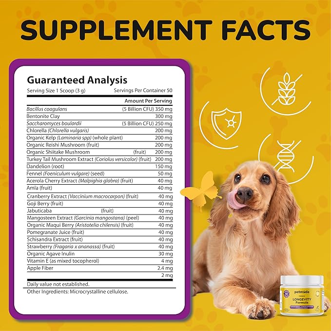 Turkey Tail Mushroom for Dogs - Dog Vitamins and Supplements - Prebiotics & Probiotics for Longevity, Immune Support & Digestion - with Chlorella, Dandelion Root, Vitamin E & More- 5.3 Oz