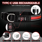 Light Up Dog Collar Rechargeable, LED Glow Collar in Dark with 3 Flash Mode for Outdoor Night Walking Visible Safe, Adjustable Waterproof Dog Light for Small Medium Large Breed, Red, L