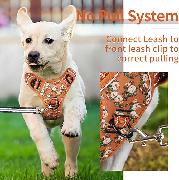 HEELE Dog Harness, No Pull Adjustable Padded Reflective Harness for Small Medium Large Dogs with Handle for Walking Training, Flower-Orange,S