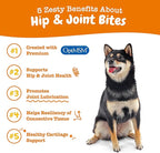 Zesty Paws Hip and Joint for Dogs, Glucosamine for Dogs Hip and Joint Supplement with Chondroitin, MSM, Vitamins C & E - Bacon, 90 Count