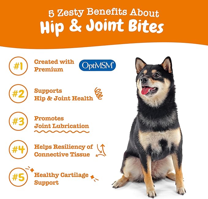 Zesty Paws Hip and Joint for Dogs, Glucosamine for Dogs Hip and Joint Supplement with Chondroitin, MSM, Vitamins C & E - Bacon, 90 Count