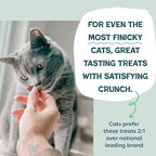 Shameless Pets Crunchy Cat Treats - Catnip Treats for Cats with Digestive Support, Kitten Treats with Real Chicken, Natural & Healthy Flavored Feline Snacks - Catnip N Chill, 1-Pk (12 Oz)