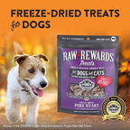 Northwest Naturals Raw Rewards Freeze-Dried Pork Heart Treats for Dogs and Cats - Bite-Sized Pieces - Healthy, 1 Ingredient, Human Grade Ingredients, All Natural, Made in USA, 10 Oz (Pack of 3)