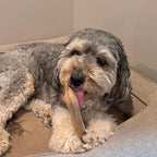 SPOT Dura-Fused Leather Small Bone Dog Toy – Durable Chew Toy with Real Leather & Jute, Squeaker, and Double-Stitched Seams for Moderate Chewers, Small & Medium Dogs, 7in