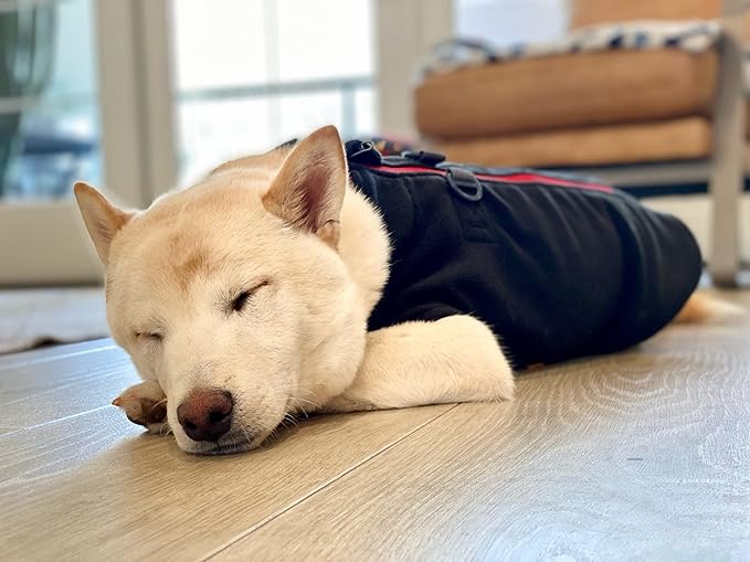 Gooby - Zip Up Fleece Vest, Fleece Jacket Sweater with Zipper Closure and Leash Ring, Black, Medium