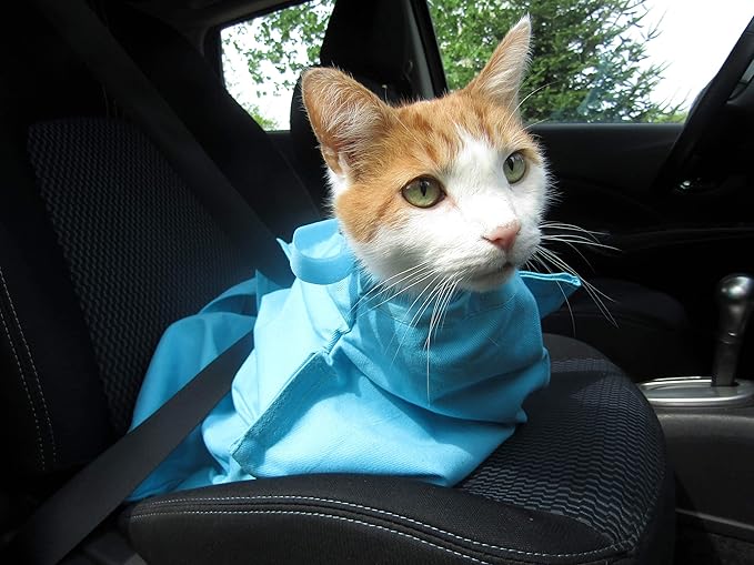 Cozy Comfort Carrier - Large Green Cat Carrier, Cat Holder for Cutting Nails, & Cat Carrier Pouch for Vet Visits, Medication Administration, Dental Care, & Travel