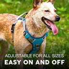 Embark Adventure Dog Harness, Reflective Trim No Pull Dog Harness for Large Dogs - Military Grade Nylon, Front Clip with Gel Lined Handle.
