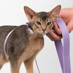 Cat Harness and Leash 2-in-1, Escape Proof Anti-Chocking Harness Adjustable Lighweight Leash for Walking Outoor Training for Kitten Small to Large Cats Puppy, US IDA Bronze Award (Blurple)