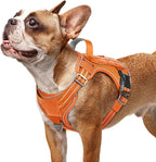 rabbitgoo Dog Harness Small Sized No Pull, Tactical Service Pet Vest with Molle and Control Handle, Adjustable and Reflective Military Harness for Easy Walking and Training, Orange, S