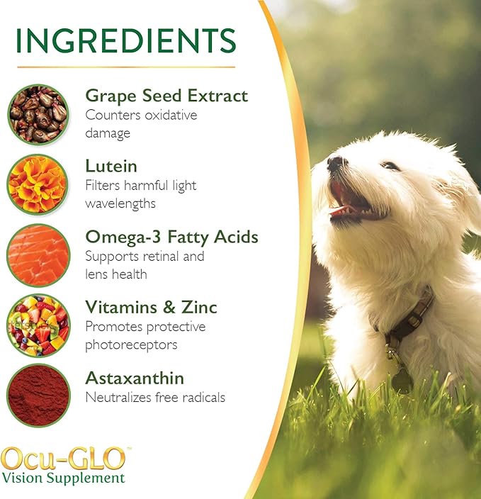 Ocu-GLO PB Vision Supplement for Medium & Large Dogs – Easy to Administer Powder Blend with Lutein, Omega-3 Fatty Acids, Grape Seed Extract & Antioxidants to Promote Eye Health, 90ct Powder Capsules