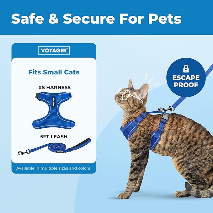 Voyager Escape-Proof Step-in Lock Cat Harness & 5ft Neoprene-Handle Leash Set All-Weather Mesh with Reflective Stitching for Small to Large Cats by Best Pet Supplies, Royal Blue (327), XS