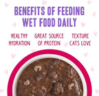 B.F.F. OMG - Best Feline Friend Oh My Gravy!, Tuna & Duck Dilly Dally with Tuna & Duck, 2.8oz Can (Pack of 12)