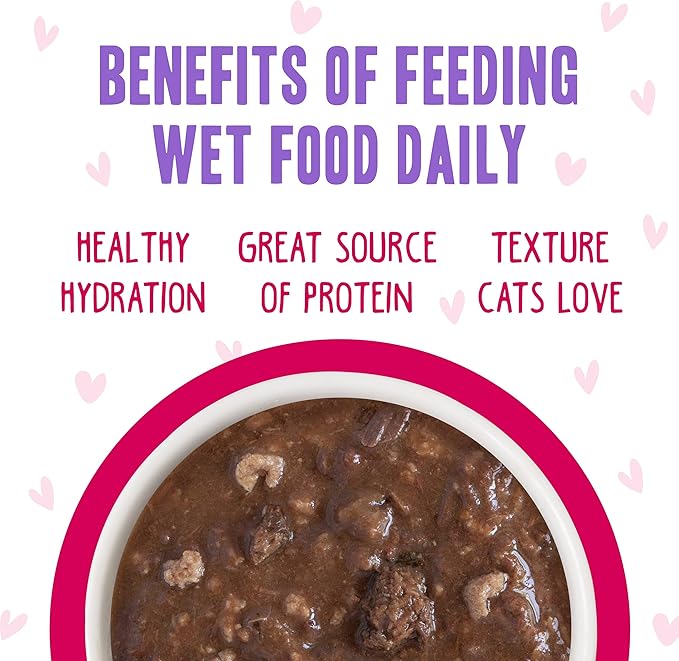 B.F.F. OMG - Best Feline Friend Oh My Gravy!, Tuna & Duck Dilly Dally with Tuna & Duck, 5.5oz Can (Pack of 8)