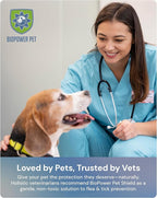 Natural Flea & Tick Repellent Collar Tag for Dogs & Cats – BioPower Pet Shield – Safe for Pets When Used as Directed – Lasts 1 Full Year - Regular Tag (3Pack)
