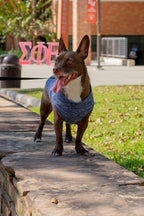 Gooby Zip Up Fleece Dog Sweater - Gray Wash, X-Large - Warm Pullover Fleece Step-in Dog Jacket with Dual D Ring Leash for Small to Medium Dogs