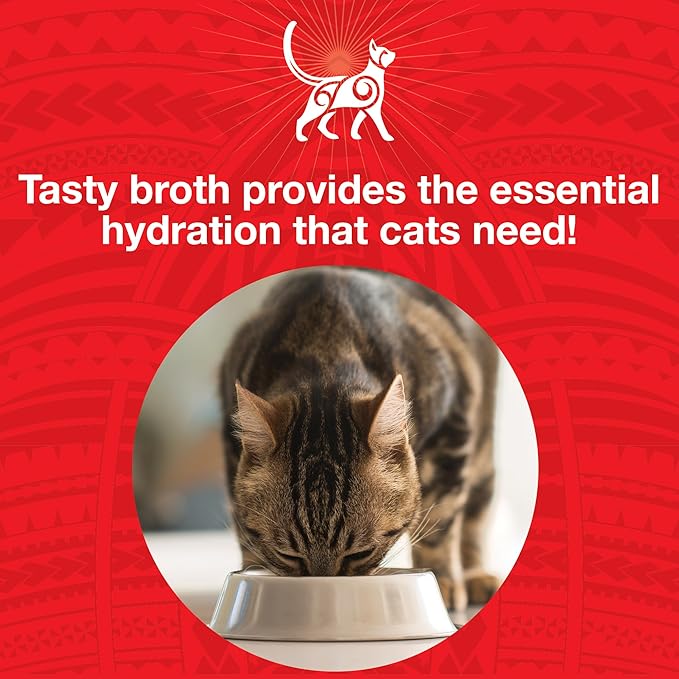 KOHA Pure Shreds Beef Entrée for Cats, Single Meat High Protein Wet Cat Food, 5.5oz Cans (Pack of 12)