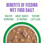 Weruva B.F.F. OMG - Best Feline Friend Oh My Gravy!, Chicken & Lamb Live N' Love with Chicken & Lamb in Gravy, 2.8oz Can (Pack of 12)