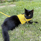 Cat Harness with Leash and Collar for Walking - Escape Proof with 59 Inches Leash - Adjustable Soft Vest Harnesses for Medium Large Cats