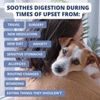 Under the Weather Bland Diet for Dogs | Easy to Digest for Sick Dogs |Always Be Ready| Contains Electrolytes - All Natural Freeze Dried 100% Human Grade Meats| 6 Pack- Rice Turkey & Sweet Potato - 6oz