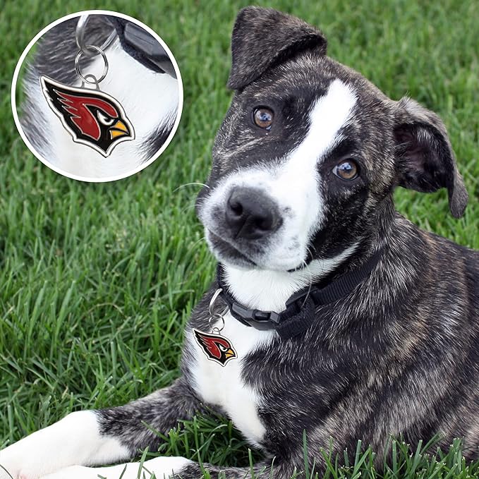 NFL Arizona Cardinals Engraving Pet ID Tags in 32 Team Logo Shapes Personalized Dog Tags and Cat Tags with 3 Lines of Customizable Text for Tracking & Safety. Stainless Steel Pet ID Tracking Tags