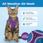 Voyager Escape-Proof Step-in Lock Cat Harness & 5ft Neoprene-Handle Leash Set All-Weather Mesh with Reflective Stitching for Small to Large Cats by Best Pet Supplies, Purple (327), M