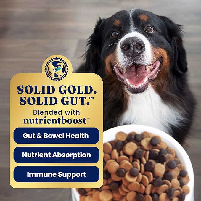 Solid Gold Salmon Dog Food for Sensitive Stomachs – Grain Free & Gluten Free Kibble w/Probiotics to Support Gut Health & Digestion - Sensitive Stomach Dog Food for All Ages – Nutrientboost™ – 22 LB