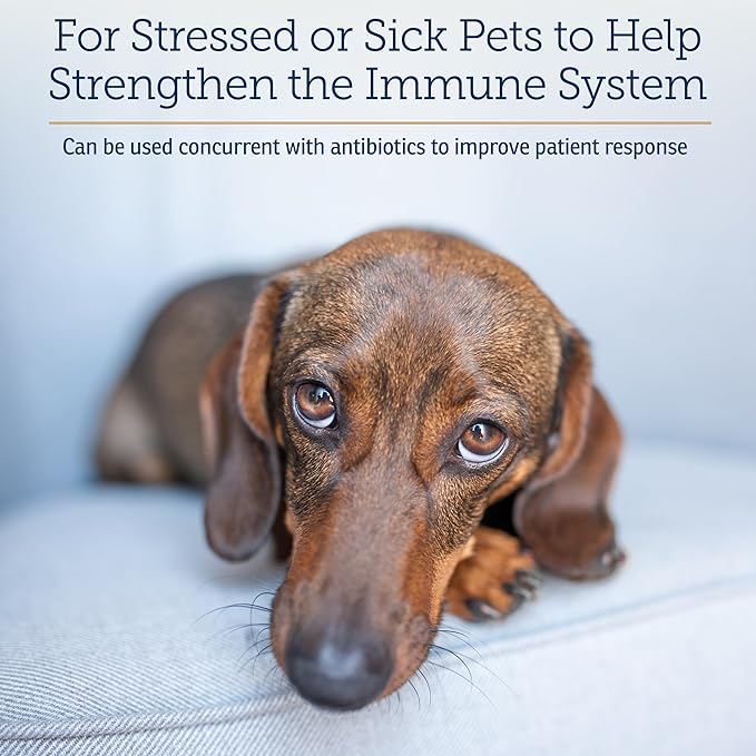 Rx Vitamins Immuno Support, Immune Support for Dogs and Cats - 60ct Supplement with Shiitake Mushroom, Arabinogalactan, and Lutein -