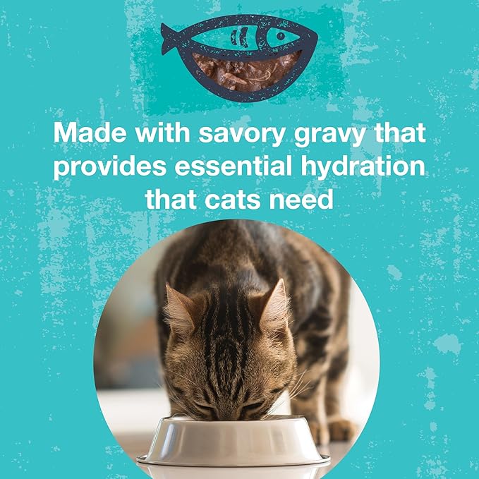 KOHA Pet Food Poké Bowl Cat Variety Pack, Wet Cat Food in Gravy - 5 Flavors - Tuna Combinations of Salmon, Chicken, Duck, Shrimp, and More - 3 oz Pouches, Pack of 24