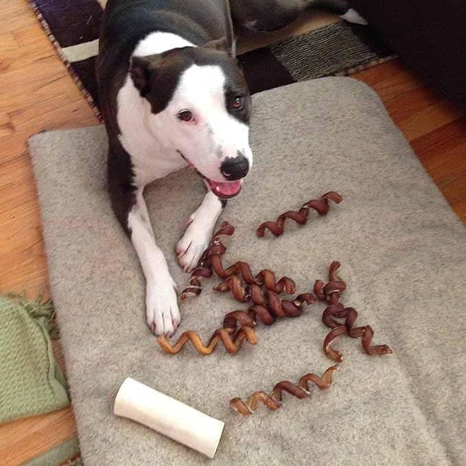 Pawstruck All-Natural 6" Bully Stick Springs for Dogs - Fun, Challenging, Rawhide-Free, 100% Beef, Single Ingredient Chew Bones - Fully Digestible, Low Odor - 25 Pack - Packaging May Vary