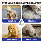 Wild Alaskan Salmon Oil for Dogs & Cats - Deep Sea Liquid Fish Oil Supplement, Maximum Omega 3 Fish Oil with Krill for Skin & Coat 16oz, Fast-Absorbing with Omega 3 6 9 Dog Fish Oil for Joints & Heart